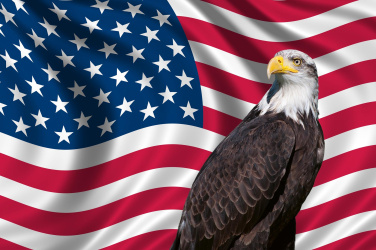 Vlastenecká vlajka USA