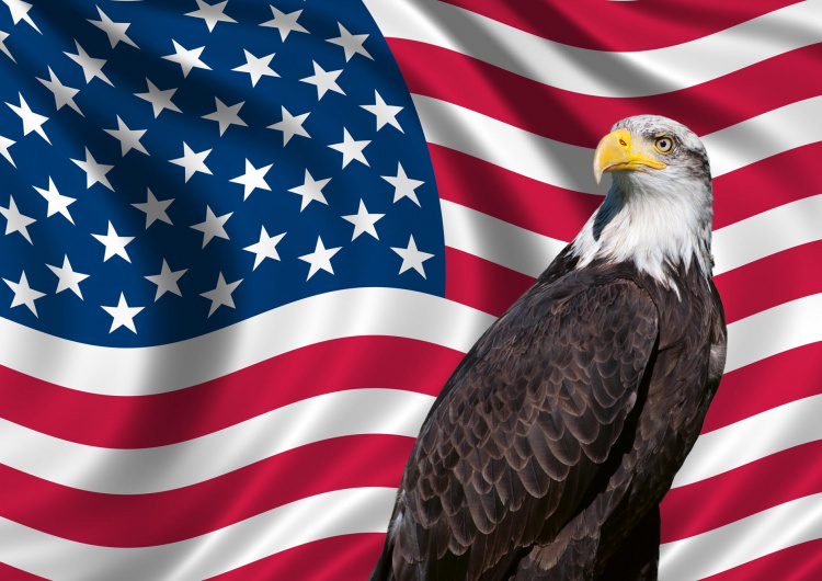 Vlastenecká vlajka USA