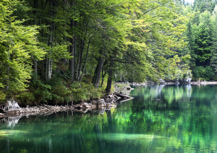 Jezero a les