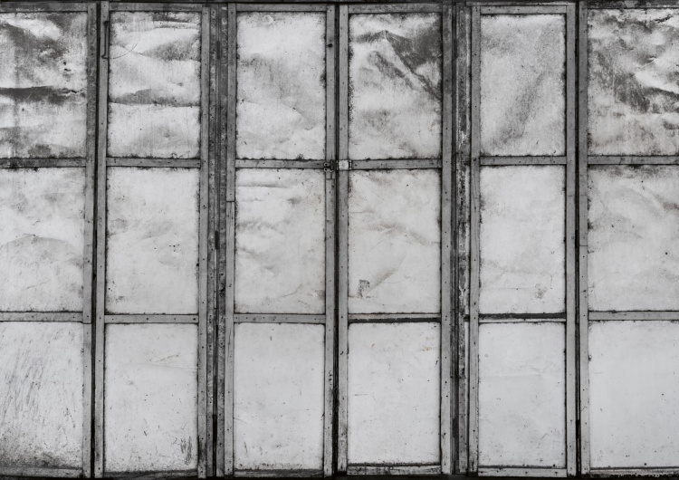 Kovové dveře kůlny