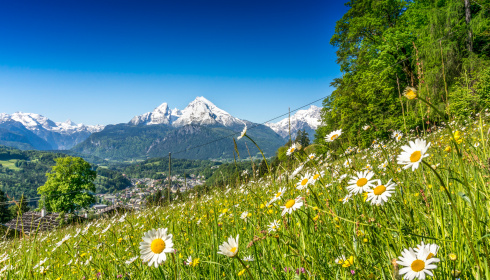 Alpská krajina