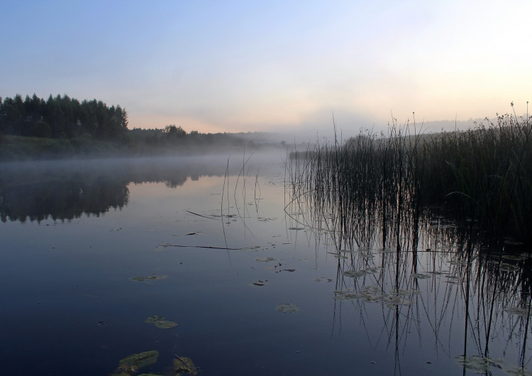 Řeka před úsvitem